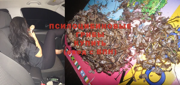 эйфоретик Вязники