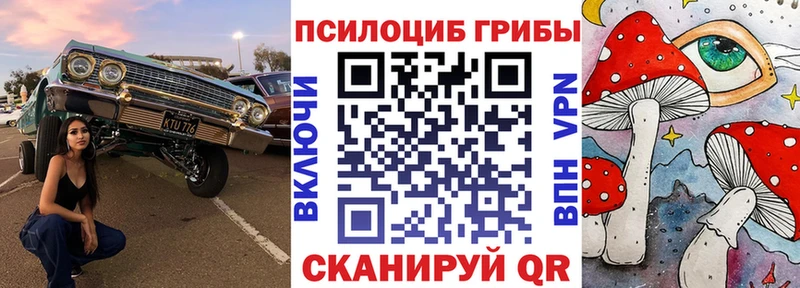 Псилоцибиновые грибы мицелий  купить   Брюховецкая 