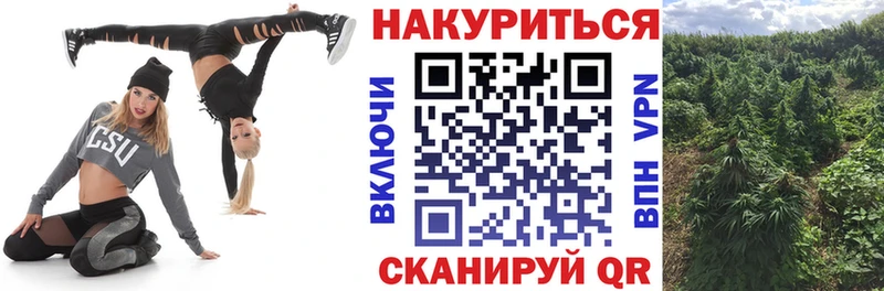 Бошки Шишки OG Kush Брюховецкая